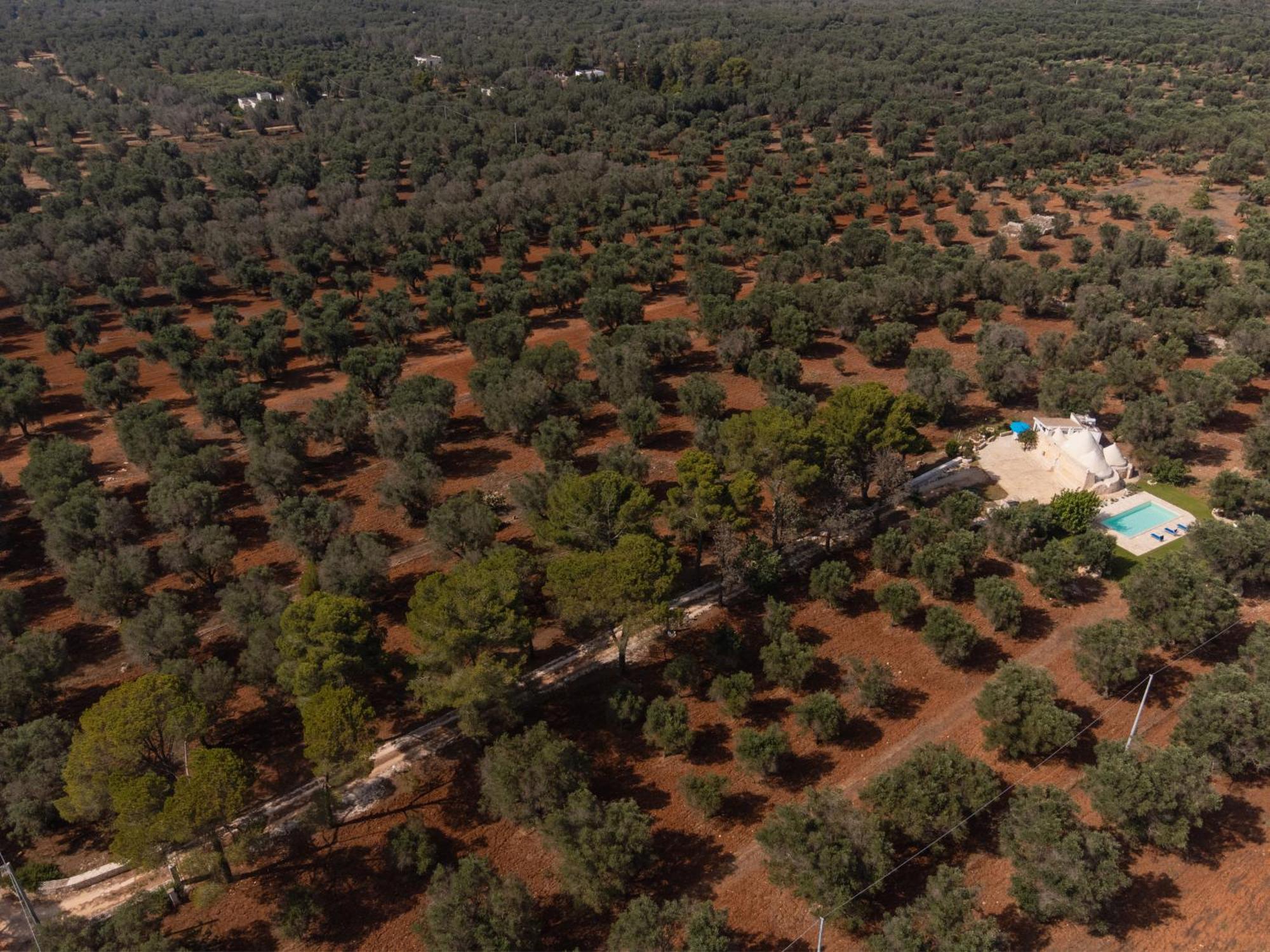 Trullo Tarantini Con Piscina Privata Apartment Latiano Exterior photo